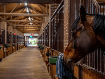 horse-stables