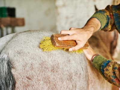Brosse%20cheval